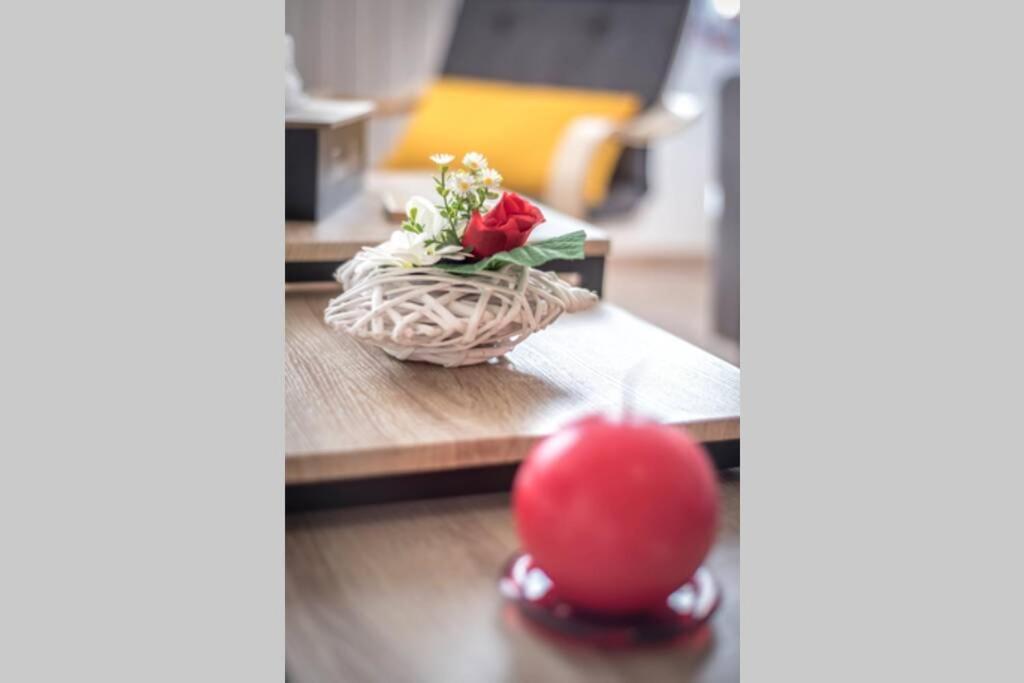 "Le Cocon" 4 Pers - Confortable - So Cozy Montauban Luaran gambar